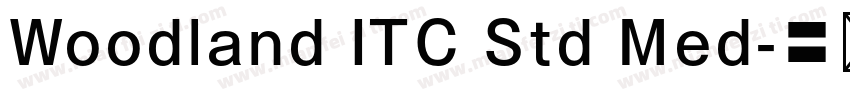 Woodland ITC Std Med字体转换